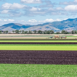 Stories of Sustainability in Monterey County thumbnail icon